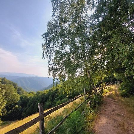 Casuta De Lemn Villa Tarsa  Bagian luar foto