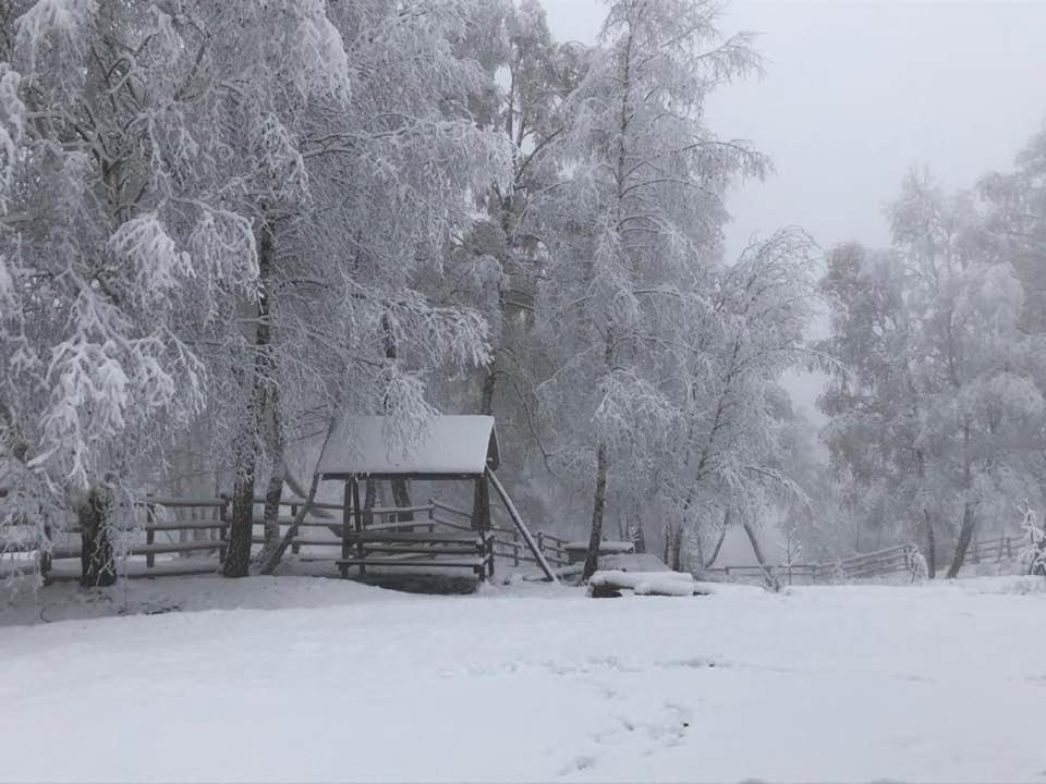Casuta De Lemn Villa Tarsa  Bagian luar foto