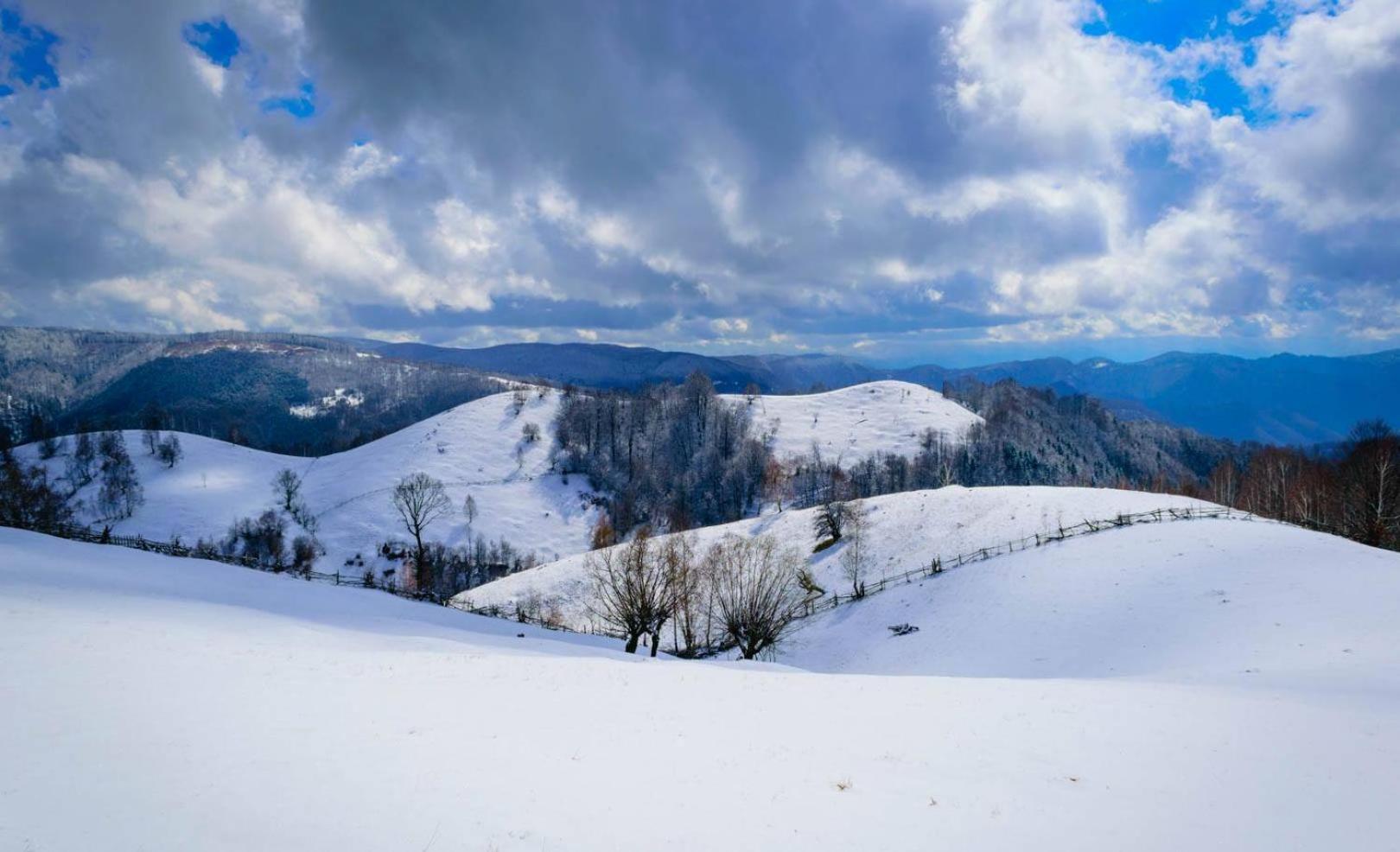 Casuta De Lemn Villa Tarsa  Bagian luar foto