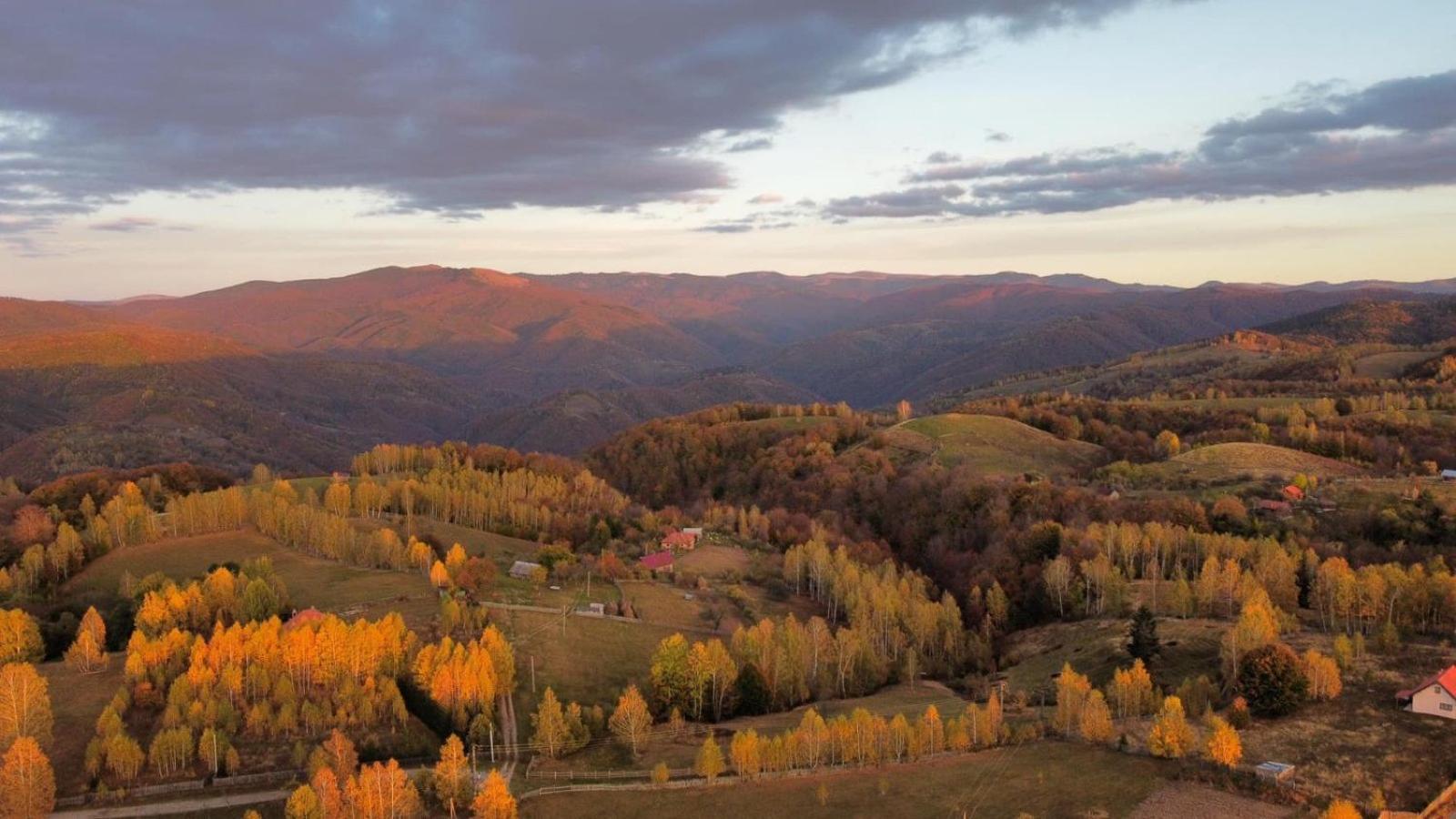 Casuta De Lemn Villa Tarsa  Bagian luar foto