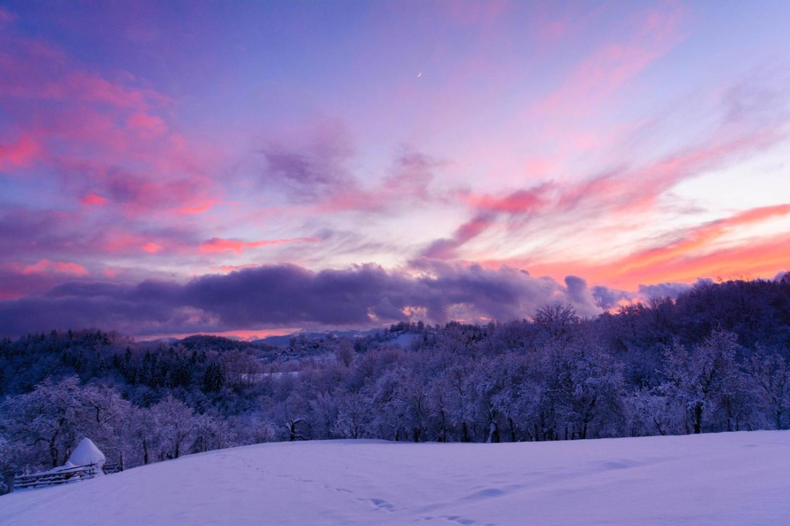 Casuta De Lemn Villa Tarsa  Bagian luar foto
