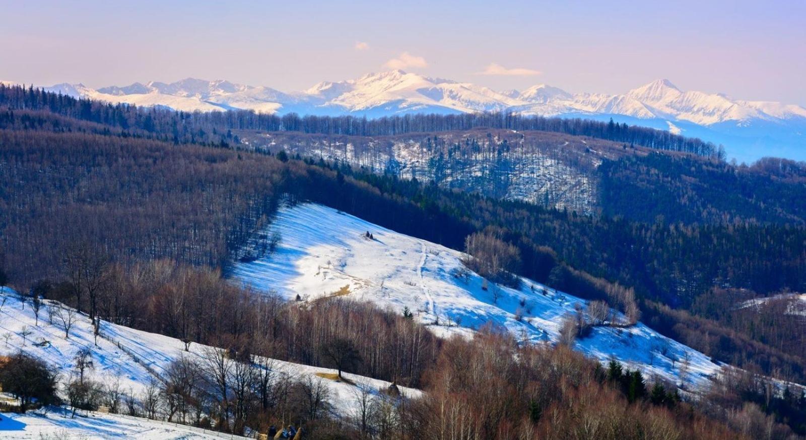 Casuta De Lemn Villa Tarsa  Bagian luar foto