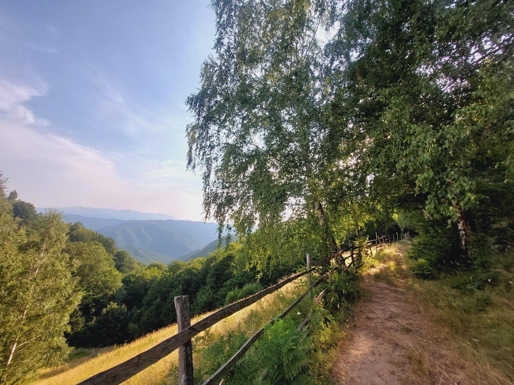 Casuta De Lemn Villa Tarsa  Bagian luar foto