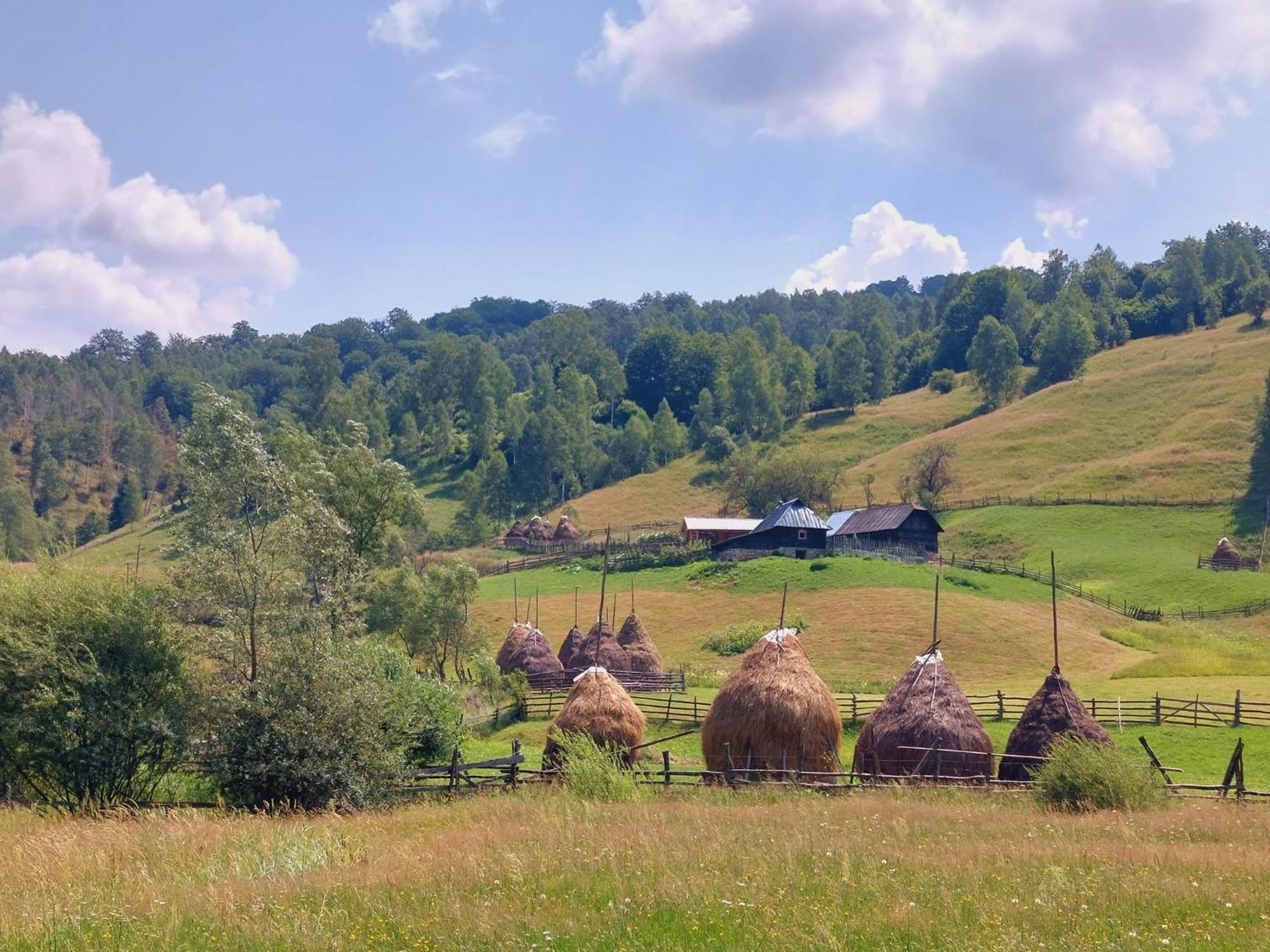 Casuta De Lemn Villa Tarsa  Bagian luar foto
