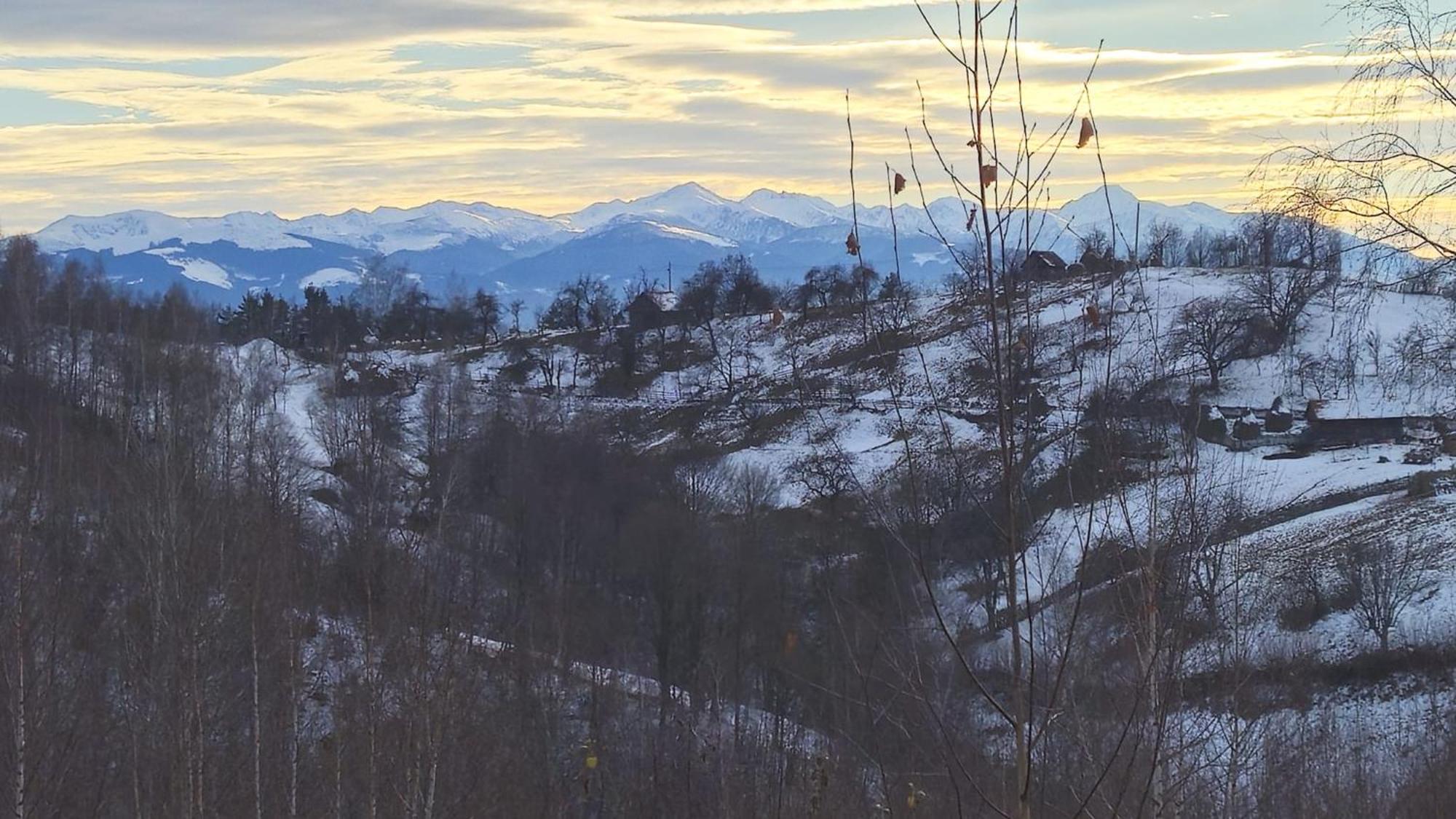 Casuta De Lemn Villa Tarsa  Bagian luar foto